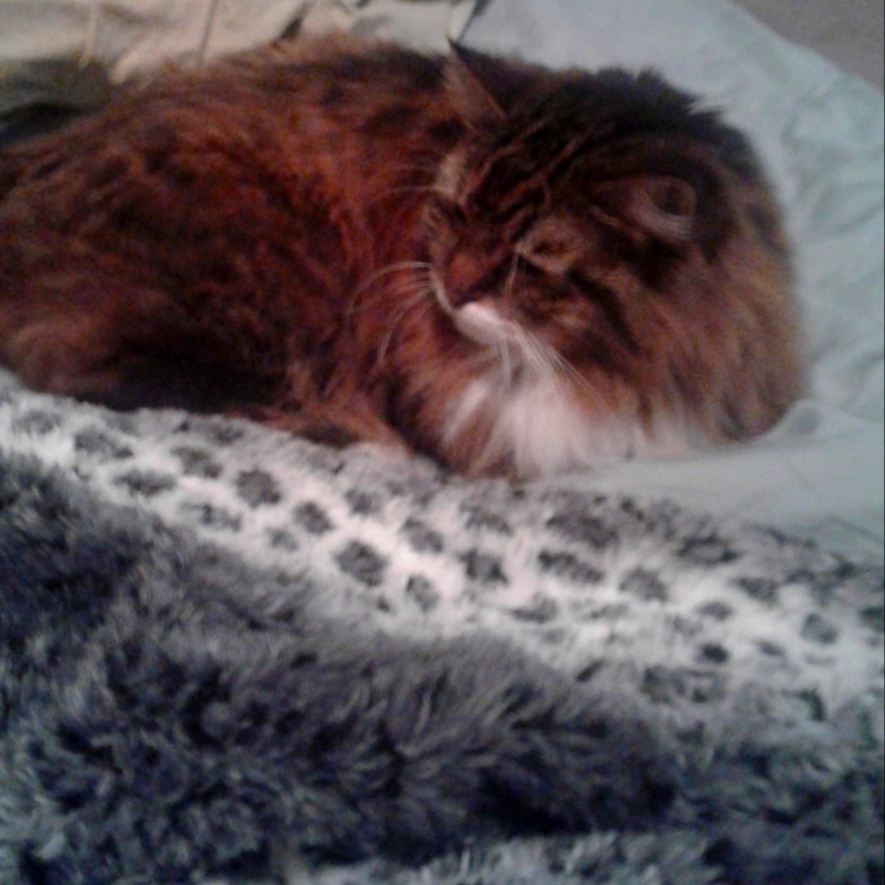 Cleaning Out my Closet - Everything On Sale!